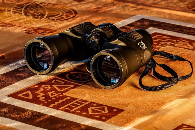 Future Vision Quests